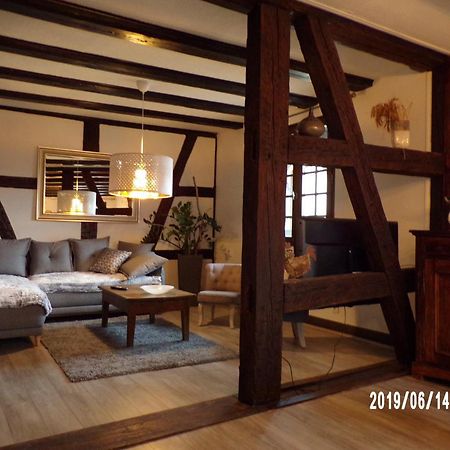Duplex Saint Lustre, View Over Castle And Storks, 5 Mn From Colmar Eguisheim Exterior photo