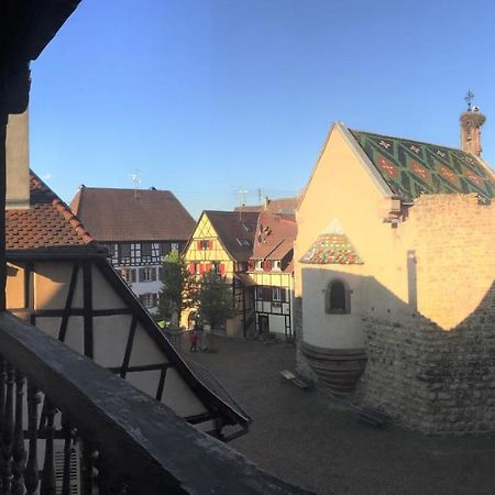 Duplex Saint Lustre, View Over Castle And Storks, 5 Mn From Colmar Eguisheim Exterior photo