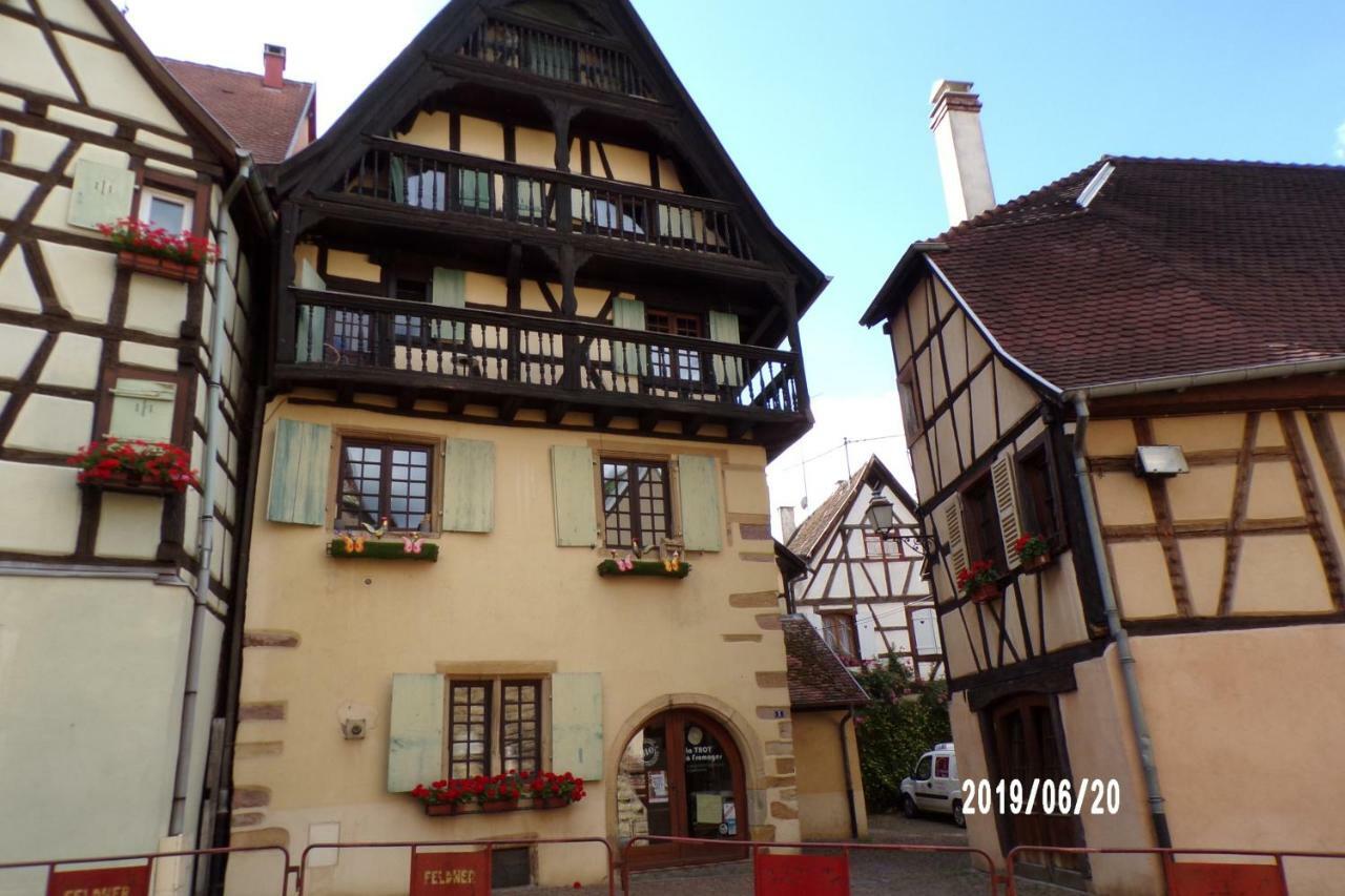 Duplex Saint Lustre, View Over Castle And Storks, 5 Mn From Colmar Eguisheim Exterior photo